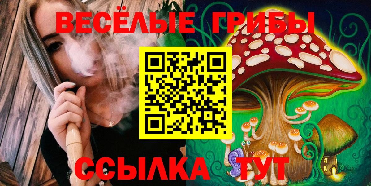 Галлюциногенные грибы ЛСД Коряжма