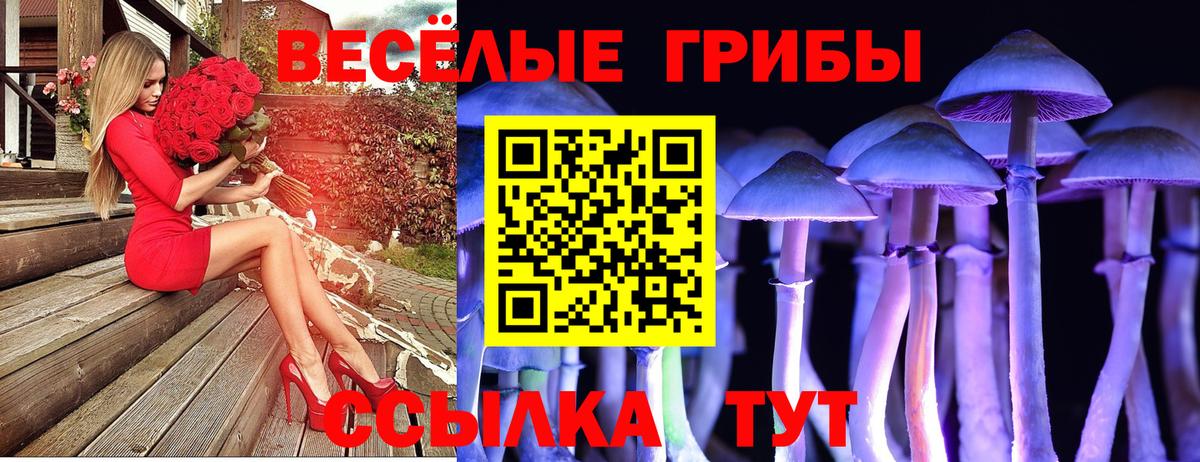 Псилоцибиновые грибы Psilocybe  Псилоцибиновые грибы Cubensis  Коряжма  Вход с VPN 